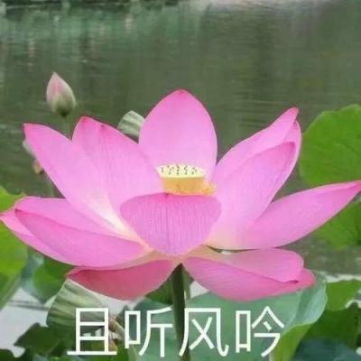 计算机行业跟踪报告：AI大模型综合能力持续增强 应用场景有望进一步拓宽拓深